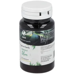 Ferment Slim 60 Cápsulas Probióticas | Farmacia Barata