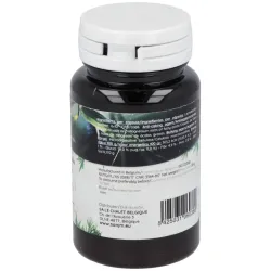 Ferment Slim 60 Cápsulas Probióticas | Farmacia Barata