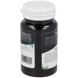 Ferment Slim 60 Cápsulas Probióticas | Farmacia Barata