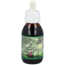 Treman Hepa Plus 100 ml | Farmacia Barata Treman Hepa Plus 100 ml | Farmacia Barata
