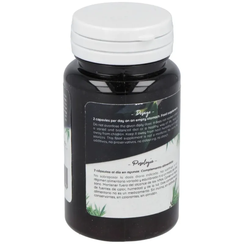 Ferment Slim 60 Cápsulas Probióticas | Farmacia Barata