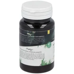 Ferment Slim 60 Cápsulas Probióticas | Farmacia Barata