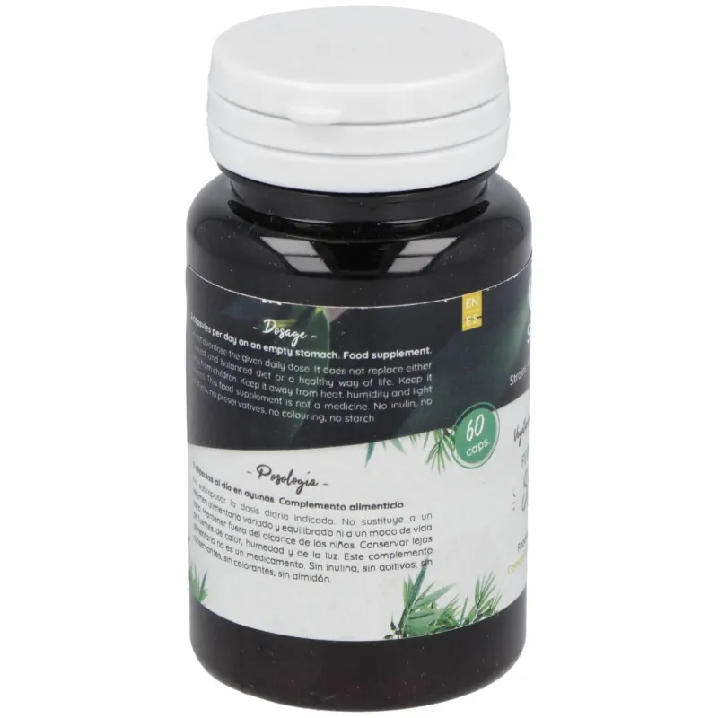 Ferment Slim 60 Cápsulas Probióticas | Farmacia Barata