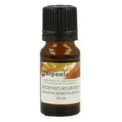 Terpenic Evo - Aceite Esencial de Incienso Ayurveda, 10 ml