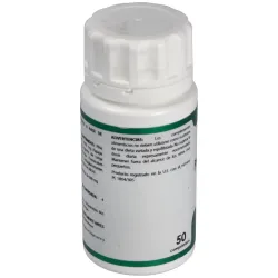 Equisalud Holofit Piña, Papaya e Hinojo | Farmacia Barata Equisalud Holofit Piña, Papaya e Hinojo | Farmacia Barata