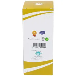 Llantenforce Plus Jarabe 200 ml | Farmacia Barata Llantenforce Plus Jarabe 200 ml | Farmacia Barata