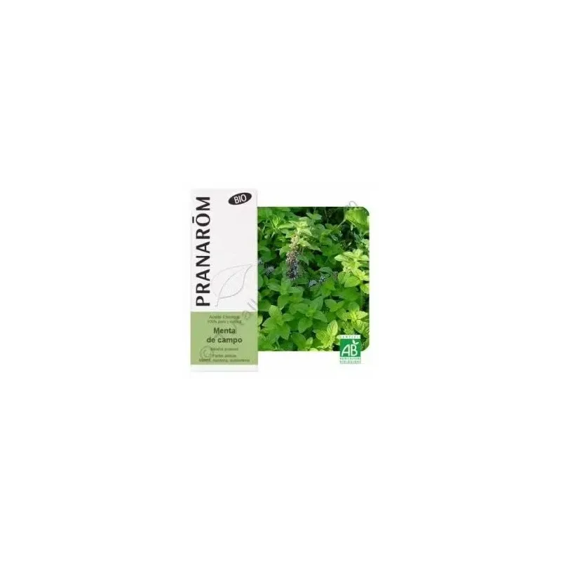 Aceite Esencial Menta del Campo 10 ml | Farmacia Barata Aceite Esencial Menta del Campo 10 ml | Farmacia Barata