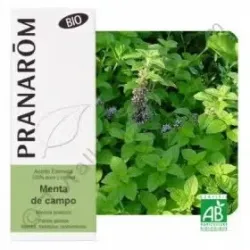 Aceite Esencial Menta del Campo 10 ml | Farmacia Barata Aceite Esencial Menta del Campo 10 ml | Farmacia Barata