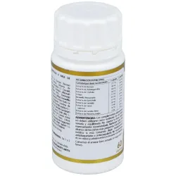 Yoga Kalash Shanti 60 Cápsulas 720 mg | Farmacia Barata Yoga Kalash Shanti 60 Cápsulas 720 mg | Farmacia Barata