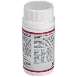 Equisalud Holomega Detoximetal 50 cápsulas | Farmacia Barata Equisalud Holomega Detoximetal 50 cápsulas | Farmacia Barata