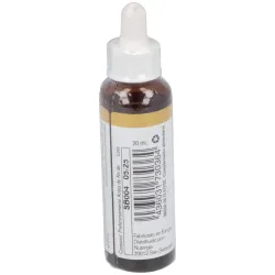 Elidyn Star Of Bethlehem 20 ml | Farmacia Barata Elidyn Star Of Bethlehem 20 ml | Farmacia Barata
