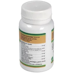 Nutri-Zyme Complex Enzimas Digestivas | Farmacia Barata Nutri-Zyme Complex Enzimas Digestivas | Farmacia Barata