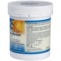 Litho Harpagophyto 200 Cápsulas Fenioux | Farmacia Barata Litho Harpagophyto 200 Cápsulas Fenioux | Farmacia Barata