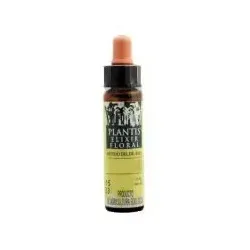Acebo Nº 15 Elixir Floral | Farmacia Barata Acebo Nº 15 Elixir Floral | Farmacia Barata