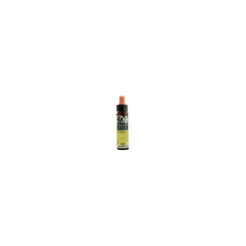 Acebo Nº 15 Elixir Floral | Farmacia Barata Acebo Nº 15 Elixir Floral | Farmacia Barata