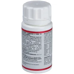 Equisalud Holomega Magnesio 50 Cápsulas | Farmacia Barata Equisalud Holomega Magnesio 50 Cápsulas | Farmacia Barata