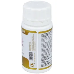 Yoga Kalash Amrita 60 cápsulas | Farmacia Barata Yoga Kalash Amrita 60 cápsulas | Farmacia Barata