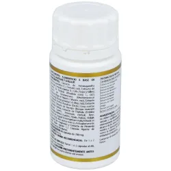 Yoga Kalash Amrita 60 cápsulas | Farmacia Barata Yoga Kalash Amrita 60 cápsulas | Farmacia Barata