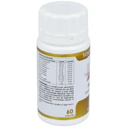 Yoga Kalash Amrita 60 cápsulas | Farmacia Barata Yoga Kalash Amrita 60 cápsulas | Farmacia Barata
