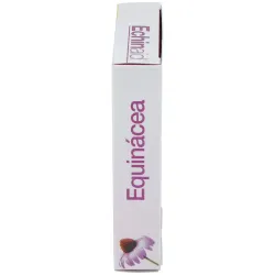 Echinaid Urto 30 cápsulas 500 mg | Farmacia Barata Echinaid Urto 30 cápsulas 500 mg | Farmacia Barata