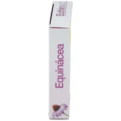 Echinaid Urto 30 cápsulas 500 mg | Farmacia Barata Echinaid Urto 30 cápsulas 500 mg | Farmacia Barata
