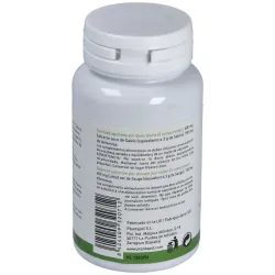 Salvia + Artemisia 90 Comprimidos | Farmacia Barata