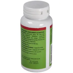 Plantapol Moringa Forte 60 cápsulas | Farmacia Barata Plantapol Moringa Forte 60 cápsulas | Farmacia Barata