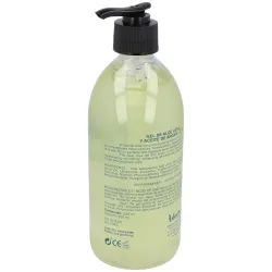 Gel Aloe Vera Con Argán y Q10 DERBOS | Farmacia Barata Gel Aloe Vera Con Argán y Q10 DERBOS | Farmacia Barata