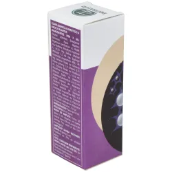 Equisalud Vibroextract N Sistema Nervioso | Farmacia Barata Equisalud Vibroextract N Sistema Nervioso | Farmacia Barata