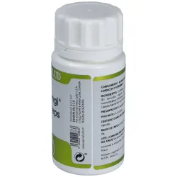 Holofungi Cordiceps 50 Cápsulas | Farmacia Barata Holofungi Cordiceps 50 Cápsulas | Farmacia Barata
