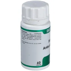 Holofit Antocianos Plus | Farmacia Barata