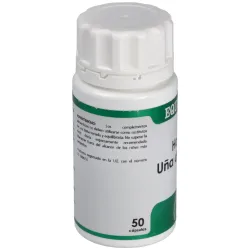 Equisalud Holofit Uña de Gato 50 cápsulas | Farmacia Barata Equisalud Holofit Uña de Gato 50 cápsulas | Farmacia Barata