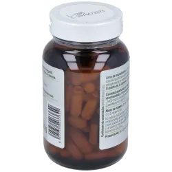 Extracto de Graviola 90 Cápsulas | Farmacia Barata Extracto de Graviola 90 Cápsulas | Farmacia Barata