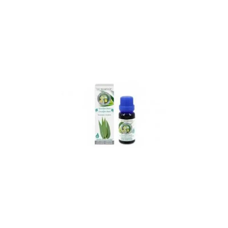 Aceite Esencial de Eucalipto Limón | Farmacia Barata