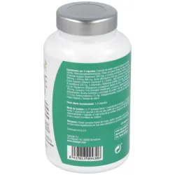 Salengei Active Detox, 60 Cápsulas | Farmacia Barata Salengei Active Detox, 60 Cápsulas | Farmacia Barata