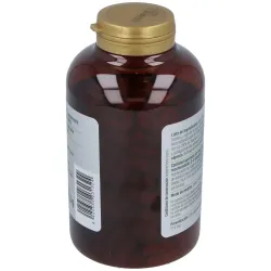 Ginkgo Biloba 510 mg 250 cápsulas | Farmacia Barata Ginkgo Biloba 510 mg 250 cápsulas | Farmacia Barata
