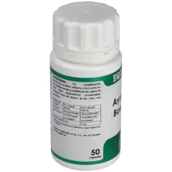 Equisalud Holofit Boswelia 50 cápsulas | Farmacia Barata