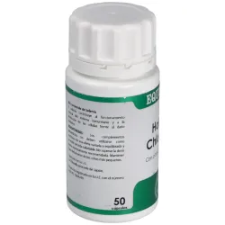 Equisalud Holofit Chlorella 50 cápsulas | Farmacia Barata Equisalud Holofit Chlorella 50 cápsulas | Farmacia Barata