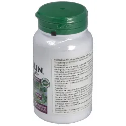 Boswellin 300mg. 60cap. herbal actives | Farmacia Barata