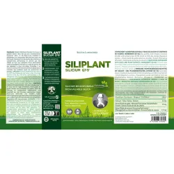 Silicium G7 Siliplant, 500 ml | Farmacia Barata Silicium G7 Siliplant, 500 ml | Farmacia Barata