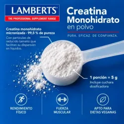 Lamberts Monohidrato de Creatina en Polvo | Farmacia Barata Lamberts Monohidrato de Creatina en Polvo | Farmacia Barata