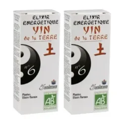 5 Saisons Elixir Nº6 Yin de la Tierra Duplo, 2 x 50ml.