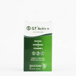 Silicium g7 Activ+ 60 Uds