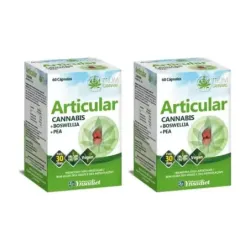 Ynsadiet Zentrum Cannabis Articular Duplo, 2 x 60 capsulas