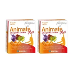Ynsadiet Anímate Plus Duplo, 2 x 30 cápsulas
