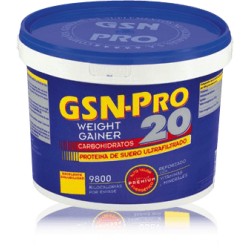 GSN Pro-20 - Vainilla, 2500 gr