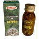 Integralia Gayuba, 60 Comprimidos.