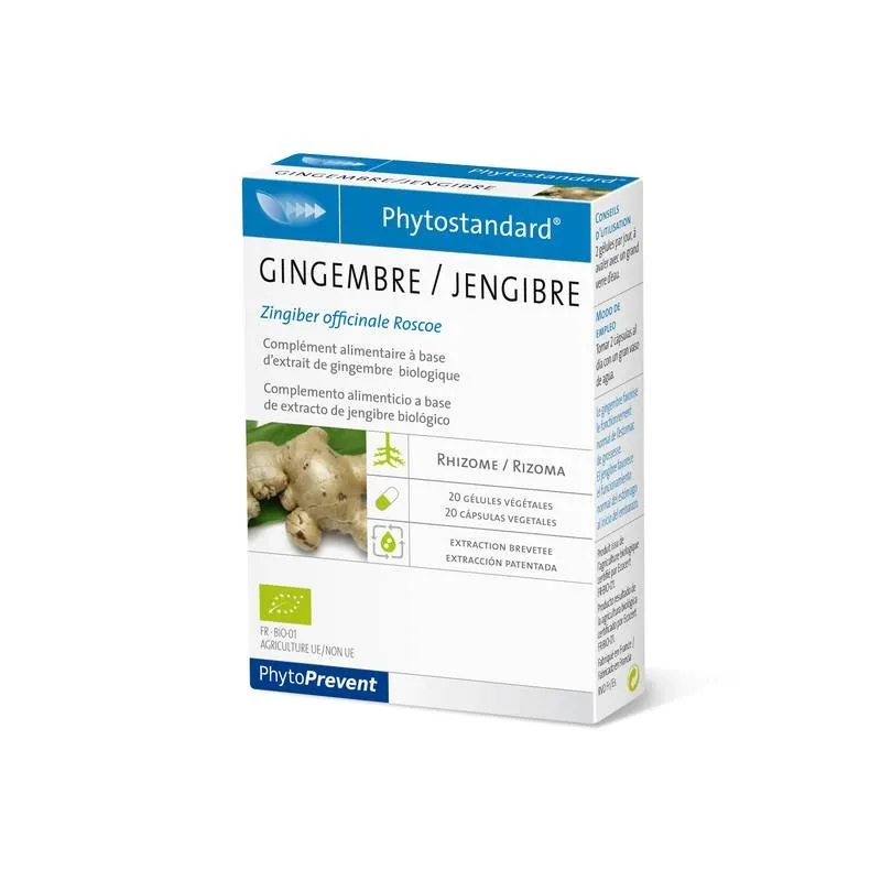 Pileje Jengibre, 20 Cápsulas.