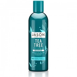 Jason Champú Árbol del Té 517 ml