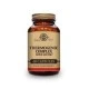 Solgar Thermogenic Complex, 60 Caps Vegetales.